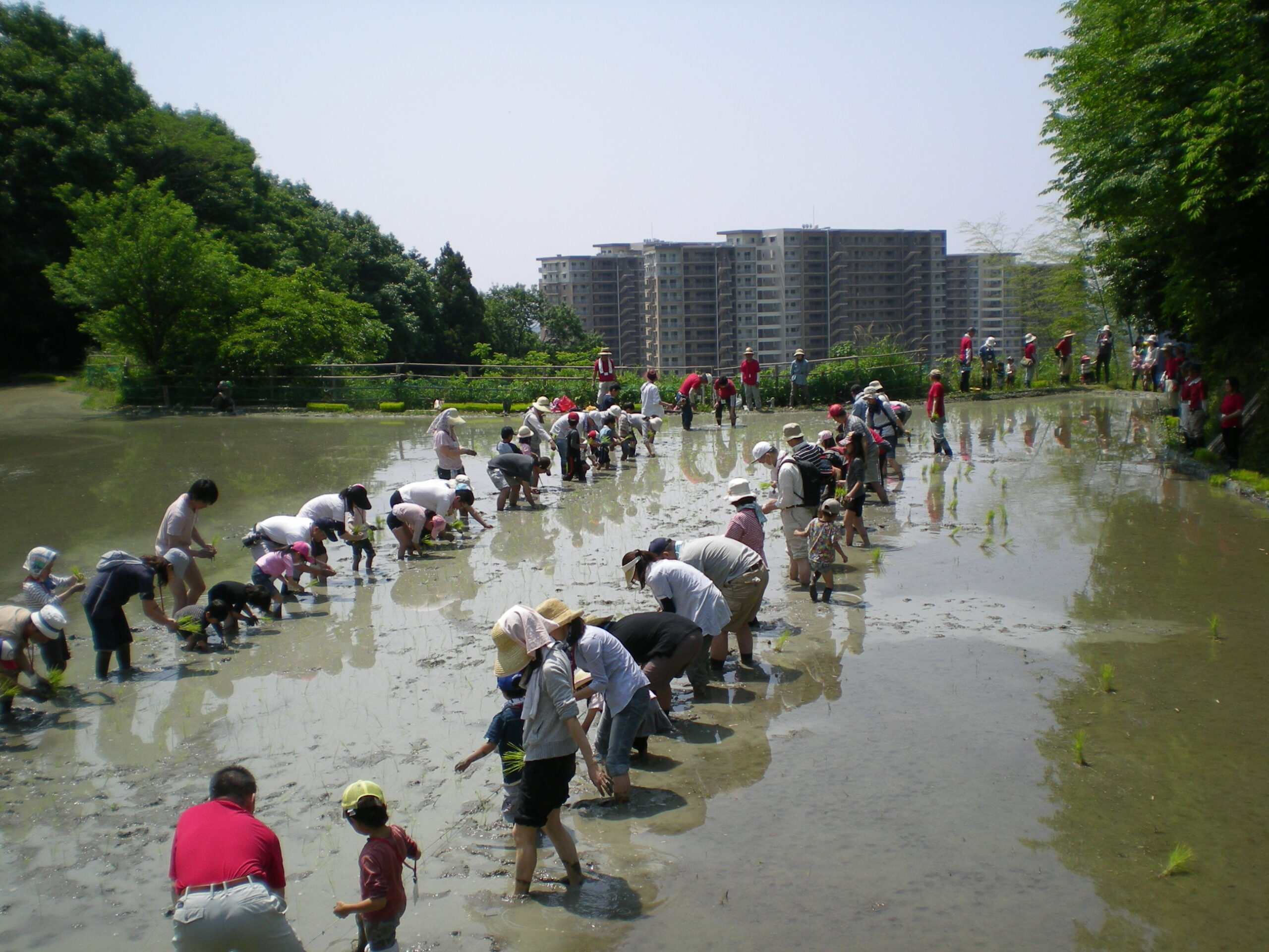 彩都（国際文化交流都市）<br />
との関わり